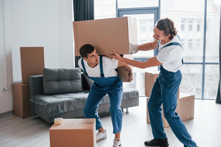 Your Comprehensive Guide to Brighton Moving Company: Ark Removals